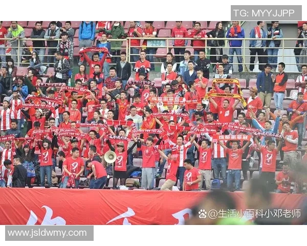 杭州足球队与武汉足球队赛后分析实力对比与战术探讨