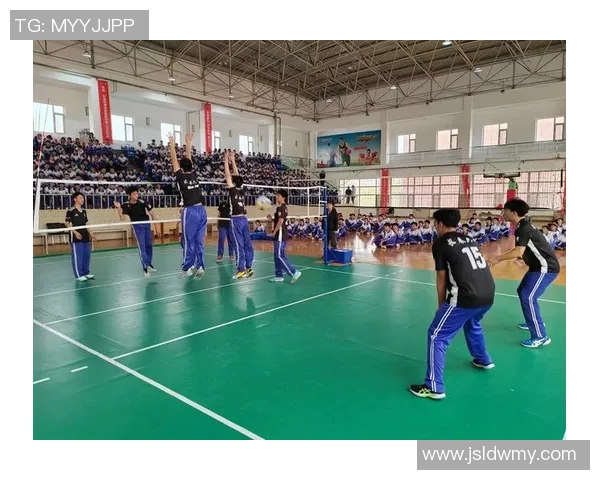 专访杨秀英：解密排球成功之道