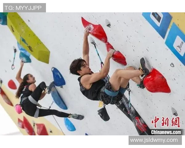 世界攀岩锦标赛点评：杭州飞盘队的实力表现